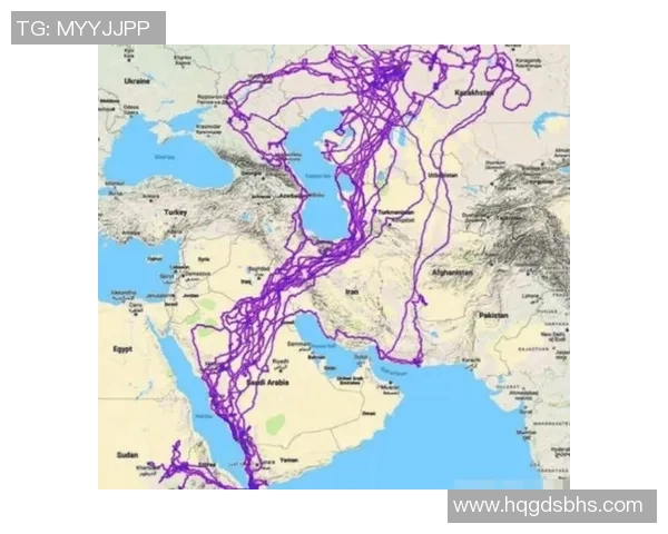 东部地图改动，老鹰会有什么新风貌？